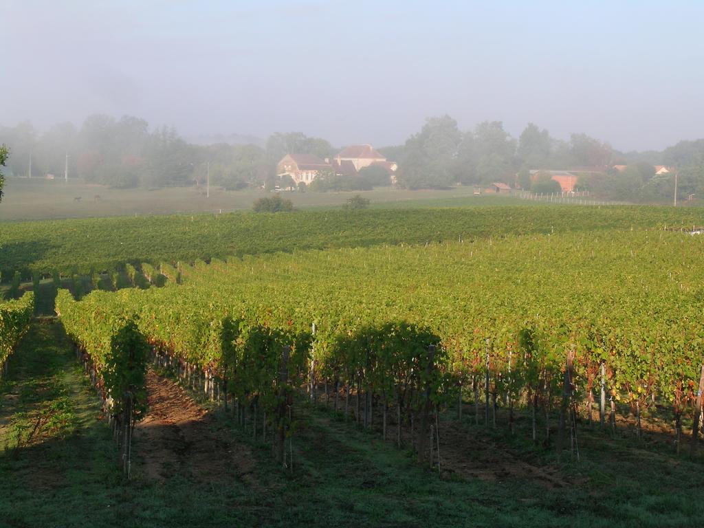 Du Vert & Du Bon Air - Linge Maison Inclus - Parking Prive Gratuit - Centre Ville Bergerac 10Mn - Domaine Bellevue Cottage En Perigord Lembras 외부 사진